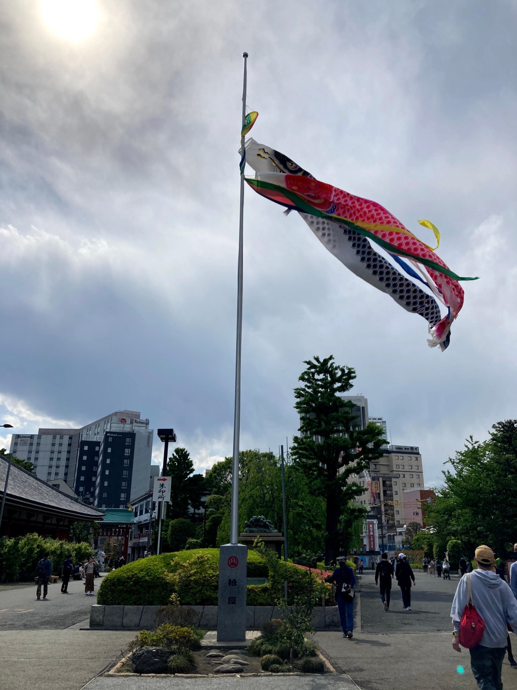 Koinobori in Asakusa
